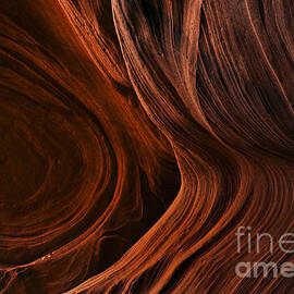 Bent by the Elements by Michael Dawson