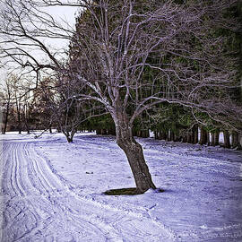 Berkshires Winter 2 - Massachusetts by Madeline Ellis