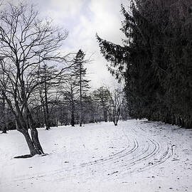 Berkshires Winter 9 - Massachusetts by Madeline Ellis