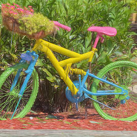 Bicycle of Colors by Kim Hojnacki
