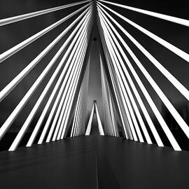 Big String Bridge by Antonyus Bunjamin (abe)