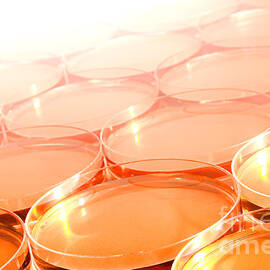 Biotechnology Experiment in Science Research Lab by Olivier Le Queinec