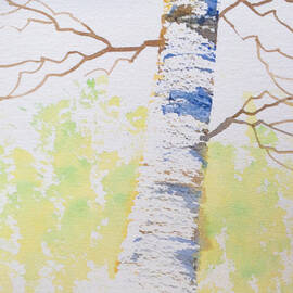 Birch Tree Impression by Teresa Ascone