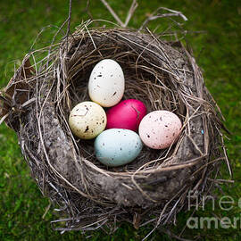 Bird's Nest with Easter Eggs by Edward Fielding