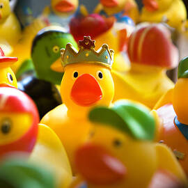 Rubber Duckies by Marilyn Hunt