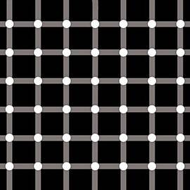 Black Dot Illusion by Nick Kloepping