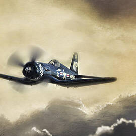 Sunlit Corsair