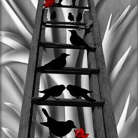 Blackbird Ladder