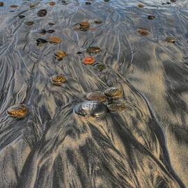 Black's Beach California by Jane Linders