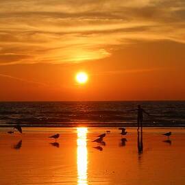 Bliss at Sunset   by Christy Pooschke