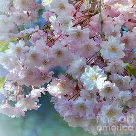 Blossoming Tree - Early Spring - Detail by Miriam Danar