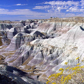 Blue Mesa, Petrified Forest National Park, Arizona by Douglas Taylor