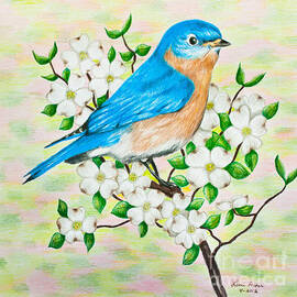 Bluebird and Dogwood