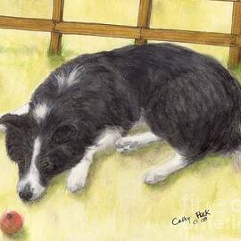 Border Collie Dog Apple Canine Cathy Peek Animal Pets Art by Cathy Peek