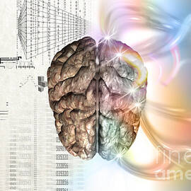 Brain With Charts And Plans by Mike Agliolo