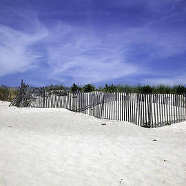 Bridgehampton Beach - Fences by Madeline Ellis