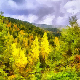 Bright Autumn Colors by Georgia Clare