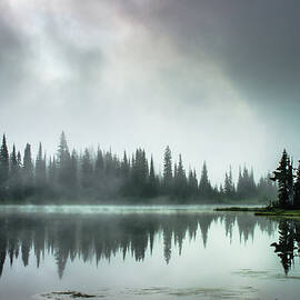 Bright Mist And Trees Reflected In A by Brian Xavier Photography