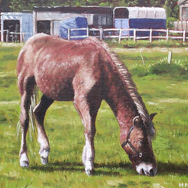 brown horse by stables by Martin Davey