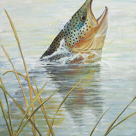 Brown Takes Damsel  by Robert Corsetti