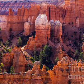 Bryce Canyon Amphitheater 2 by Dan Hartford