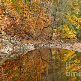 Bucks County Reflections by Adam Jewell