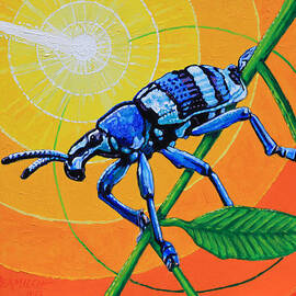 Bug Watching Meteor Explode by John Lautermilch