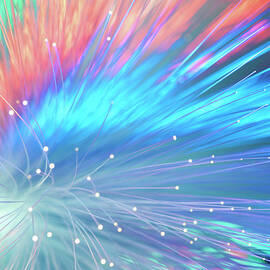 Bundle Of Fibre Optics Used To Send Data by Andrew Brookes