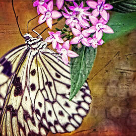 Butterfly Art - Hanging On - By Sharon Cummings by Sharon Cummings