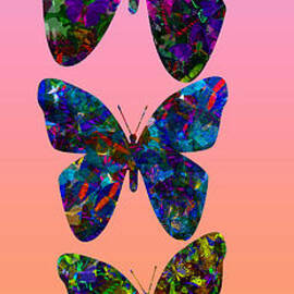 Butterfly collage IIII