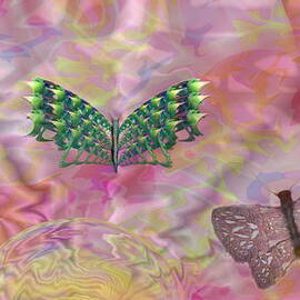 Butterfly Dawn