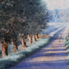 By Road of Your Dream. Monet Style by Jenny Rainbow