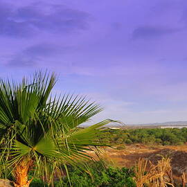 Cabo Landscape
