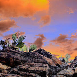 Cactus Ridge