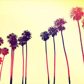 California Dreaming - California Palms IIII by Chris Andruskiewicz