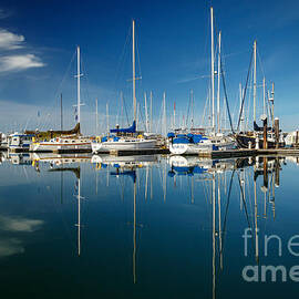 Calm Masts