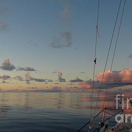 Calm Seas by Laura  Wong-Rose