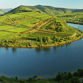 Calmont Vineyards, Bremm Village And by Jochen Schlenker