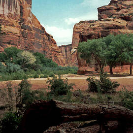 Canyon de Chelly National Monument 1993 by Connie Fox