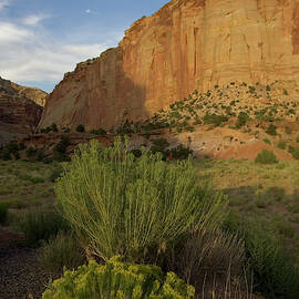 Capitol Reef National Park by Jose Azel