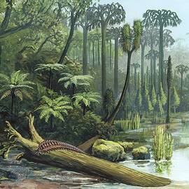 Carboniferous landscape, artwork by Science Photo Library