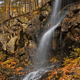 Cascade by Susan Candelario