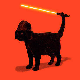 Cat Vader by Nicebleed  
