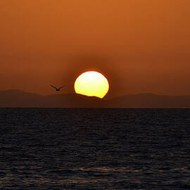 Catalina Sunset by Stephan Pabst