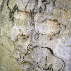 Cave Painting by Tom McHugh