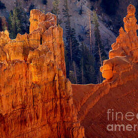 Cedar Breaks Hoodoos by Eva Kato