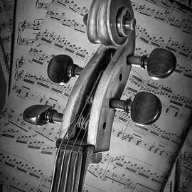 Cello Classic Art by Randall Nyhof