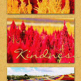 Celosia with Patience Kindness Goodness by Beverly Claire Kaiya