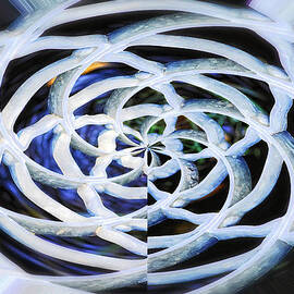 Celtic Knot by Donna Blackhall