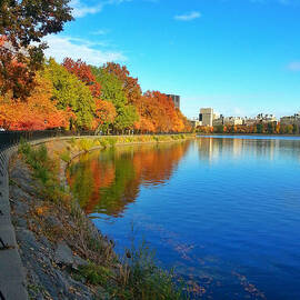 Central Park Autumn Landscape by Charlie Cliques